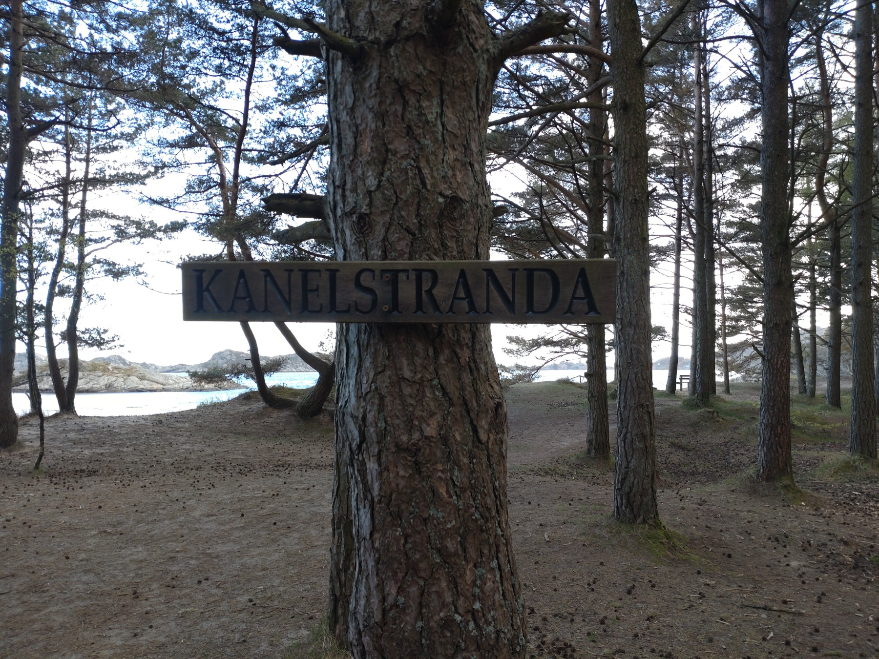 Wikinger